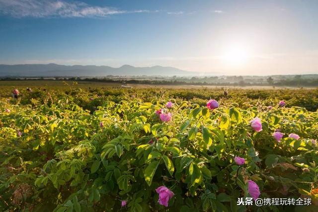 噓！令老板聞風(fēng)喪膽的2019拼假攻略來了?。?021年超強拼假攻略來了）