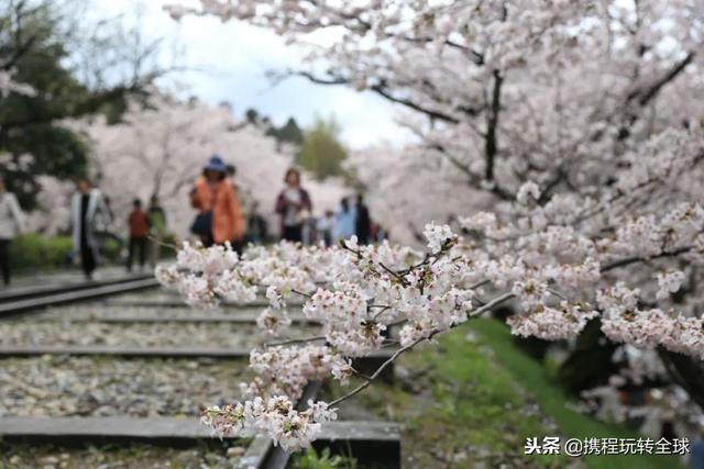 噓！令老板聞風(fēng)喪膽的2019拼假攻略來了?。?021年超強拼假攻略來了）