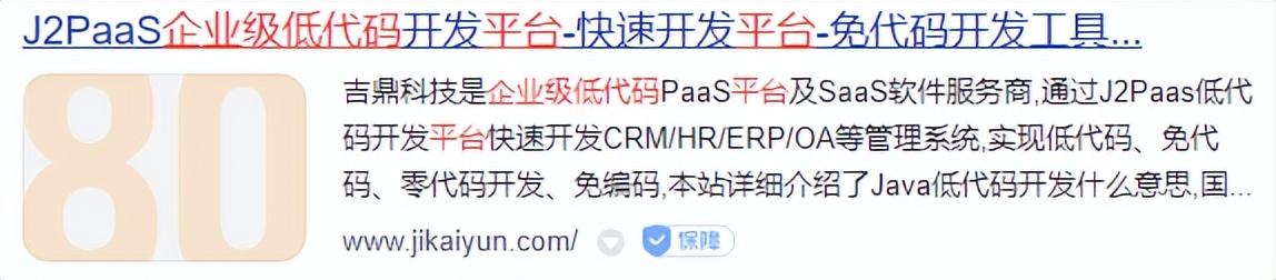 企業(yè)級(jí)低代碼開(kāi)發(fā)平臺(tái)有哪些？（低代碼開(kāi)發(fā)平臺(tái)介紹）